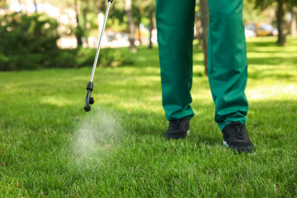 Best Rat Extermination Near Me  in Cedar Hill, TX
