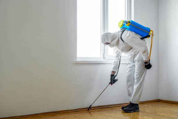 Best Pest Prevention Services  in Cedar Hill, TX