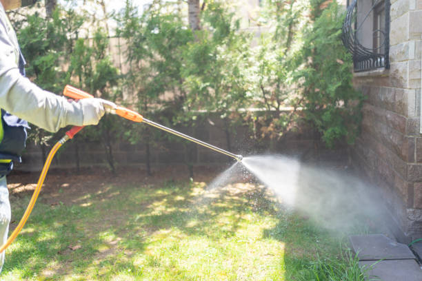 Best Wasp Removal Services  in Cedar Hill, TX