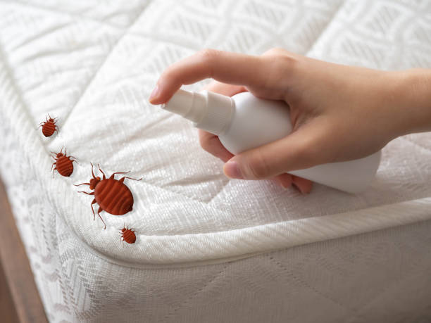 Best Commercial Pest Control Services  in Cedar Hill, TX