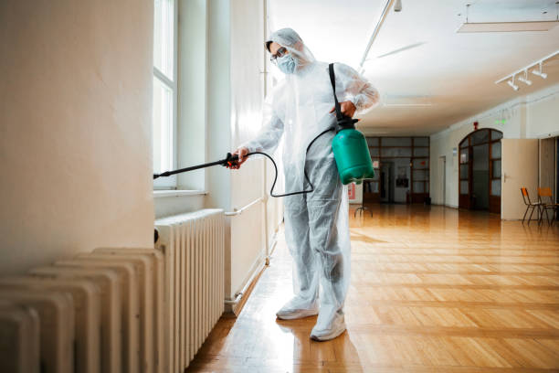Best Mosquito Control Services  in Cedar Hill, TX